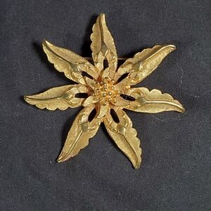 Pastelli Poinsettia Brooch